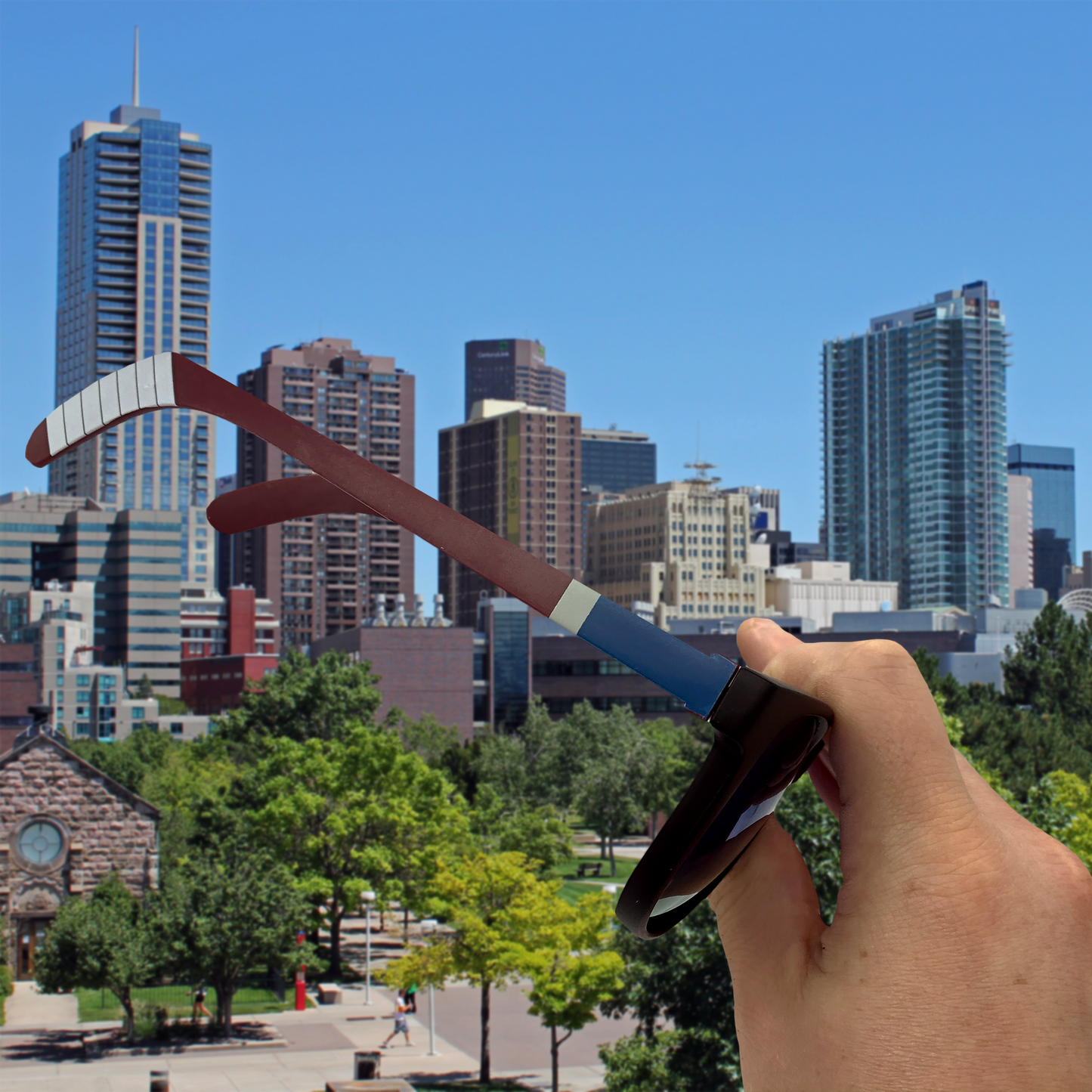 Colorado Hockey Sunglasses